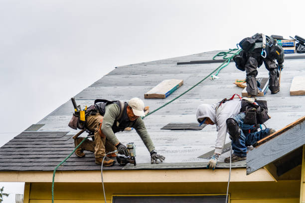 Professional Storm Damage Roof Repair technician working in Pecatonica, IL